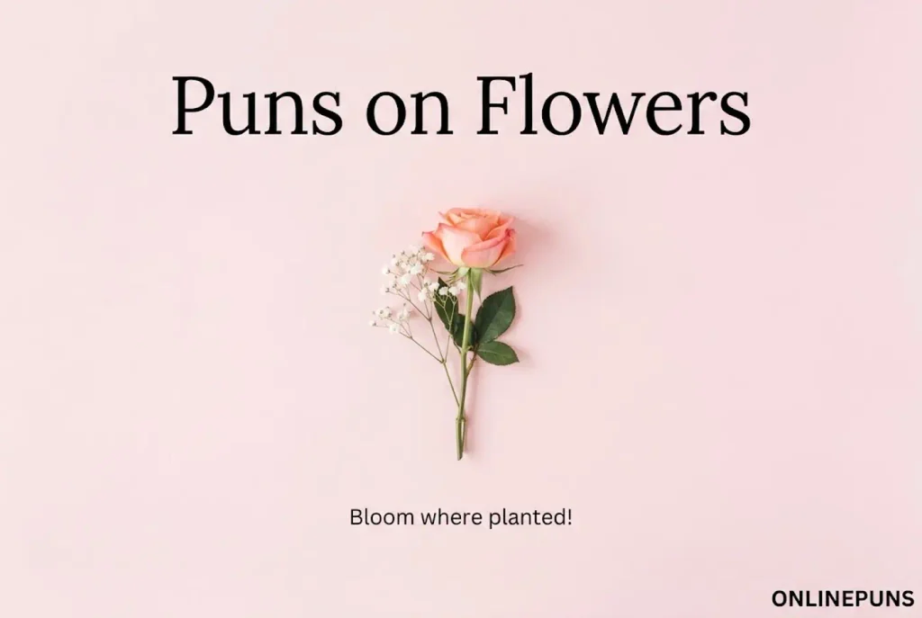 Puns on Flowers